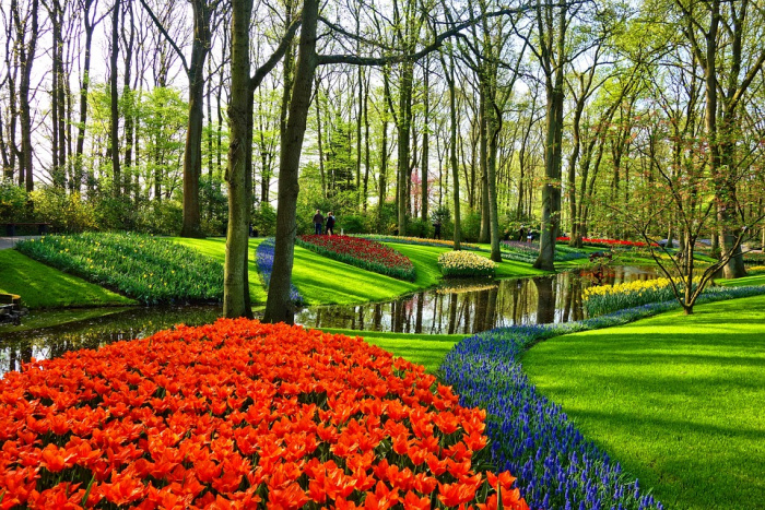 KEUKENHOF - 960 KEUKENHOF - 960