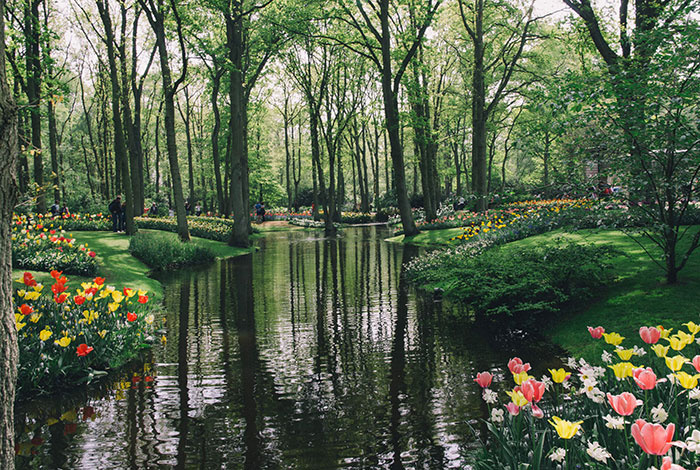 KEUKENHOF KEUKENHOF