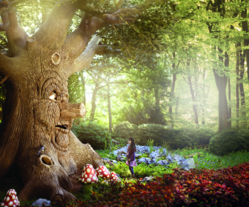 PARC EFTELING : DES SONGES ET DES ELFES ! - Vignette